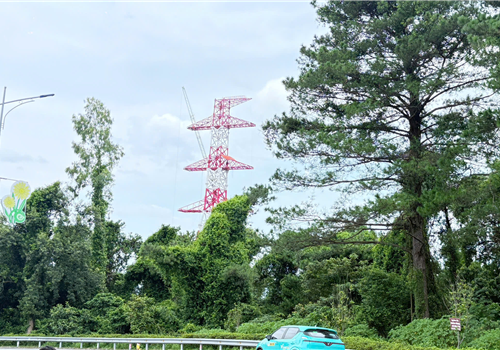 Sông Đà 5: tăng tốc về đích tại gói thầu khó nhất dự án đường dây 500kV Lào Cai – Vĩnh Yên